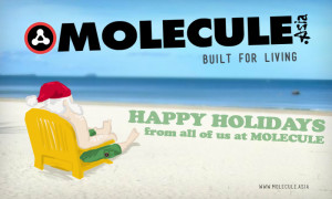 moleculemolecule-santa